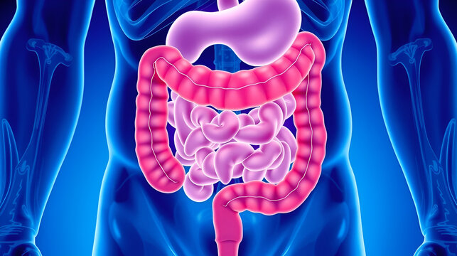 Baby diarrhea disorder intestinal disease of Hirschsprung's nerves inflammation blocked swollen belly tummy ache sepsis Down keyhole peritonitis incontinence large intestine
