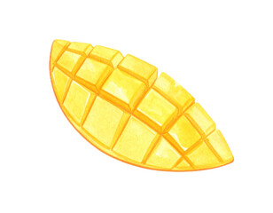 Mango slice, hand-drawn watercolor illustration