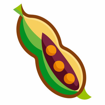 Fayot Bean icon on white background