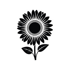 Fototapeta premium African daisy floral vector illustration