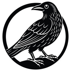 Elegant Black and White Crow Illustration Vector Graphic