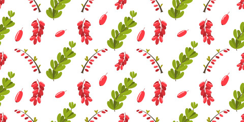 Seamless rectangular pattern with barberry plant. Colorful print pattern with red berries. Cute texture isolated on changeable white back for wrapping paper, fabric. Bunches, leaves of barberry.