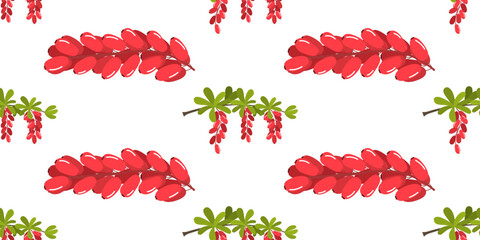 Seamless rectangular pattern with barberry plant. Colorful print pattern with red berries. Cute texture isolated on changeable white back for wrapping paper, fabric. Bunches of barberry in flat style.