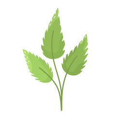 Three decorative bright green leafs in simple flat style. Leaves isolated on white background. Eco-friendly symbol for design and print. Three leaf clip art in vector. Natural sign for packages.