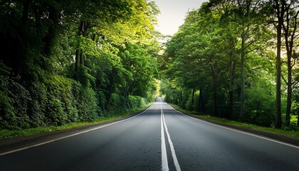 Fototapeta premium long paved road trees and greenery on the sides