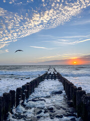 View of the sunset on the Dutch North Sea near Westkapelle in late summer