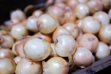 Traditional white onions are common spice ingredient found in fresh vegetables at Thailand market for cooking delicious meals