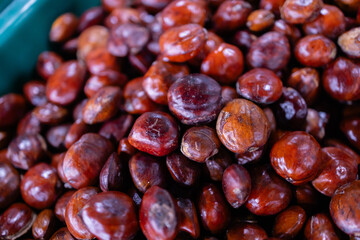 Traditional spice from Thailand market with fresh vegetables adds rich flavor and aroma to dishes in this close up of dried seeds