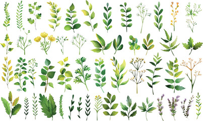 Soft watercolor flowers and botanical leaves set. Wedding-perfect with romantic flair. Great for textiles, stationery, and creative designs.