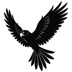 Majestic Parrot in Flight Black and White Silhouette Illustration