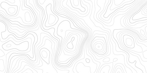 Fototapeta premium white background with abstract topographic grey contour lines creating a seamless pattern design A Perfect Fusion of Geometric Grid Lines, and Minimalist Design Elements