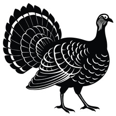 Majestic Turkey A Black and White Illustration