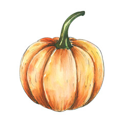 Colorful watercolor painting of a pumpkin showcasing its rich texture and warm hues