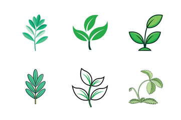 Eco-Friendly Various Types of Green Leaves Logo
