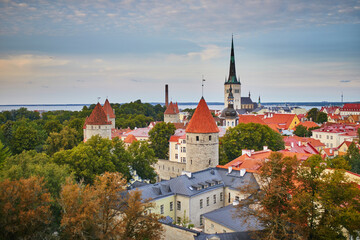 Obraz premium Scenic view of the old town in Tallinn, Estonia. Old Town of Tallinn preserved its Medieval origin, most of the buildings were built during 13-16 centuries.