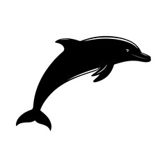 Obraz premium Dolphin silhouette, vector black color silhouette