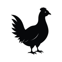 Black hen silhouette illustration on white background suitable for design and logo use