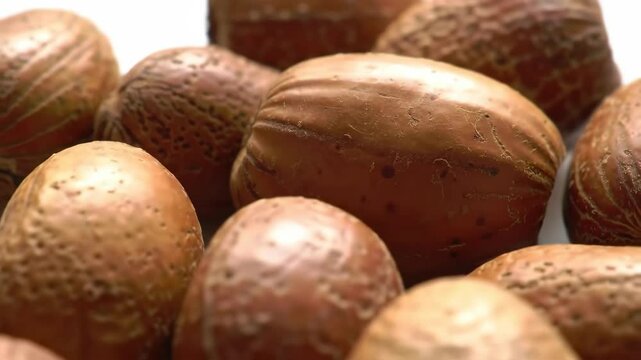Close Up of Shea Nuts in Natural Light Macro Shot of Raw Ingredients
