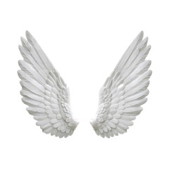 Pure White Angel Wings: Heavenly & Serene Design Element Isolated Feathered Wings for Spiritual & Creative Projects