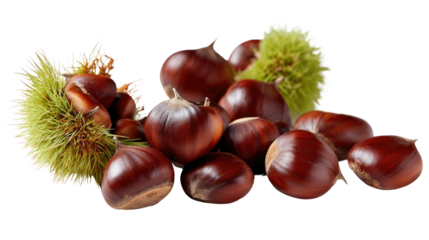 Autumnal Treasure: A bountiful array of fresh chestnuts, showcasing their smooth, polished shells alongside the intriguing textures of their spiky husks.