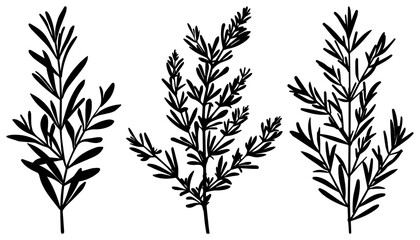 PNG Botanical silhouette nature art, element set on transparent background