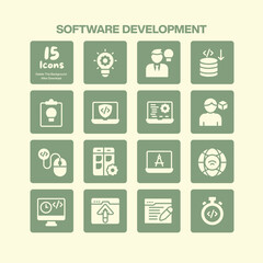 Modern software development icons pack featuring symbols for coding programming web design security API and collaborative project management solutions