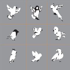 Black & White Bird Group Vector Image
