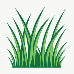 Fototapeta premium Abstract green flowing grass blades design for banner or advertisement