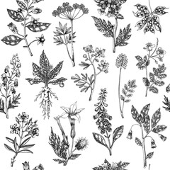 Witch herbs seamless pattern. Bohemian background. Poisonous plants and flowers design. NOT AI generated