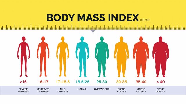 Animated 2D BMI Chart Infographic – Body Mass Index Visualization