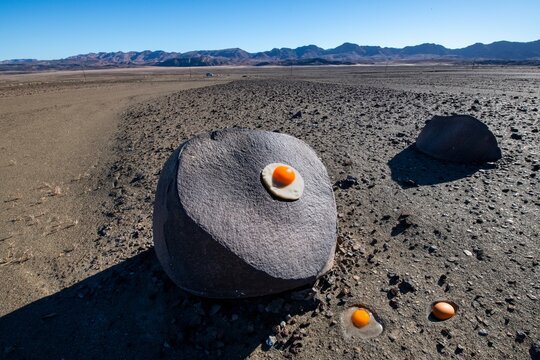 Sunny side up in the desert