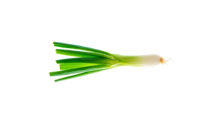 Obraz premium Fresh green onion food images, east asian, photos, south asian indigenous hispanic or latinx illustration, horizontal