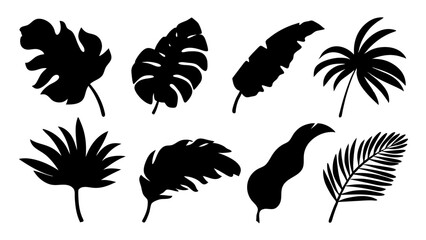 silhouette tropical leaves in vector