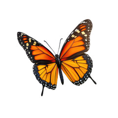 Fototapeta premium Vibrant orange butterfly with black-edged wings in flight