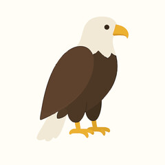 bald eagle isolated on white