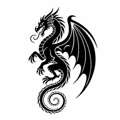 black and white dragon