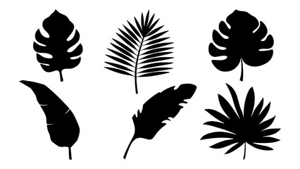 silhouette tropical leaves in vector