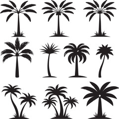 Fototapeta premium Twelve Black Silhouettes of Palm Trees on White