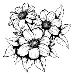 black and white flower