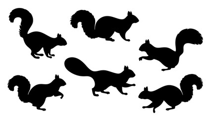 Obraz premium Group of running squirrel silhouette icon vector