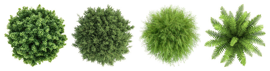 Fototapeta premium PNG Lush green foliage variety, element set on transparent background