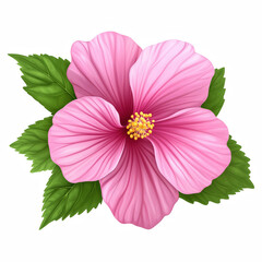 Pink hibiscus flower with yellow stamen isolated on transparent background

