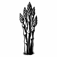 Ink sketch of asparagus silhouette vector black on white background