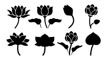 set of lotus flowers silhouette icon