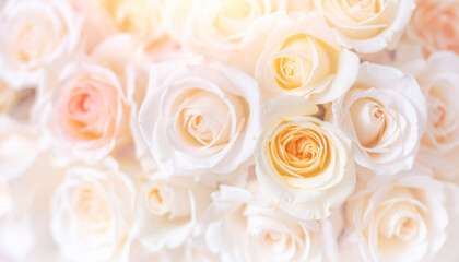 Obraz premium Sweet pastel roses with blurred effect, soft floral background pattern, romantic flower design