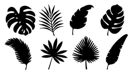 silhouette tropical leaves in vector