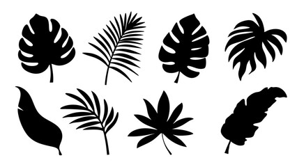 silhouette tropical leaves in vector