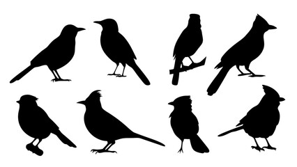 set of blue jay birds silhouette vector on tranparent background