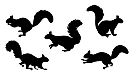 Group of running squirrel silhouette icon vector