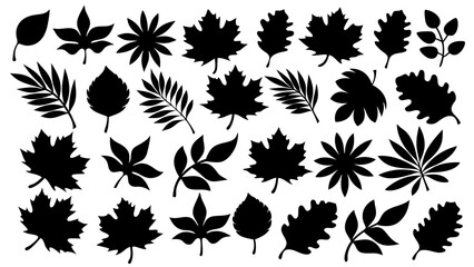 set of silhouettes of various leaves vector